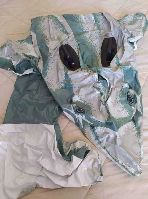 Boia Grande Golfinho