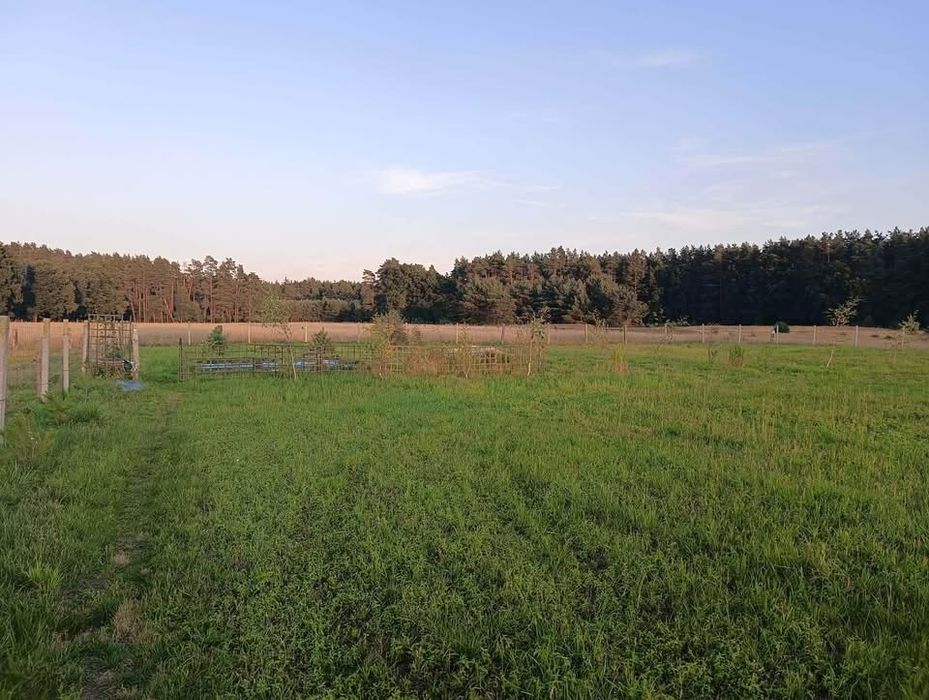 Działka  rolni-budowlana 30,01 ar