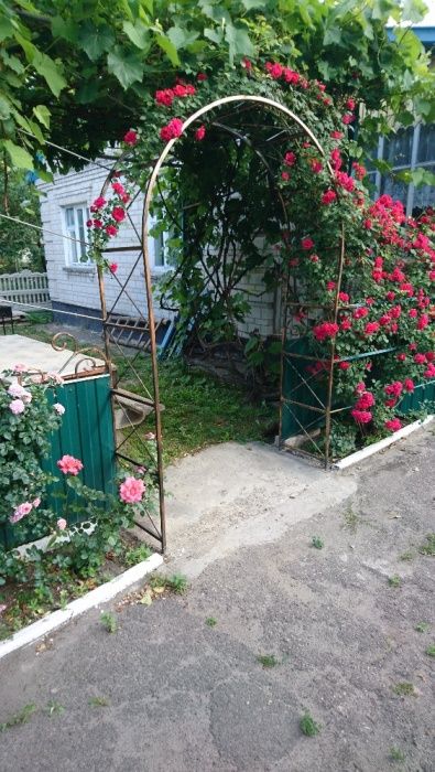 Арка Для Роз Фото