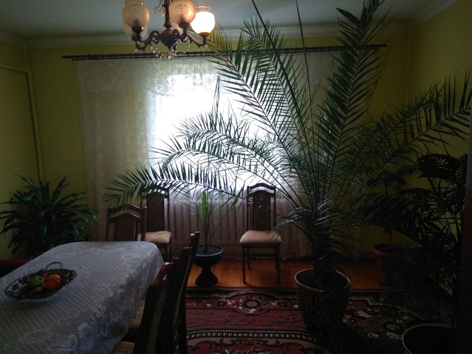 Продам ПАЛЬМУ фінікову,велику