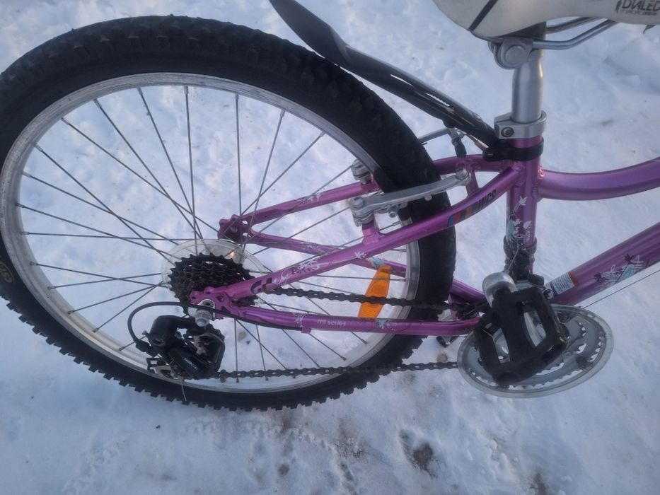 Велосипед гірський підлітковий Trek-24