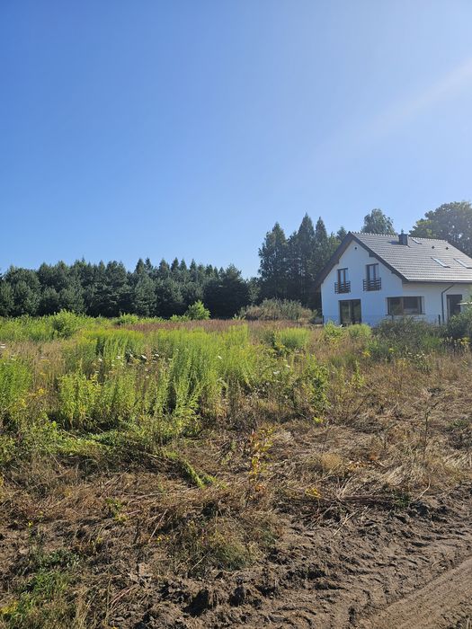 Mulczowanie mulczer wgłębny  mulczer leśny usługi mulczerem wycinka