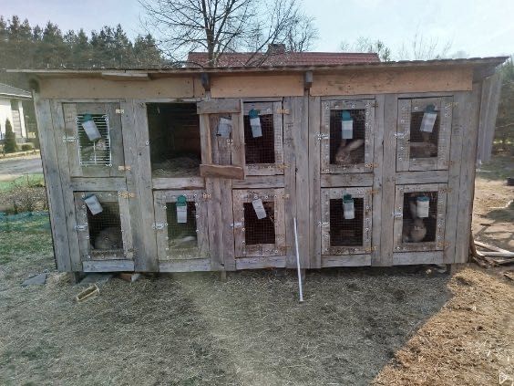 Klatka dla królików Duża 10 stanowisk