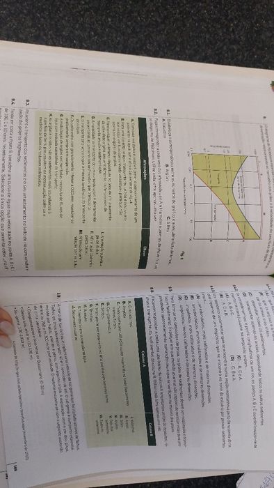 Testes e Exames Biologia e Geologia