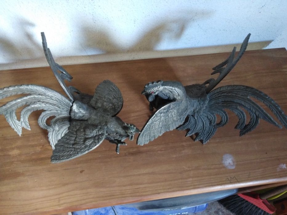 Casal Galo e Galinha