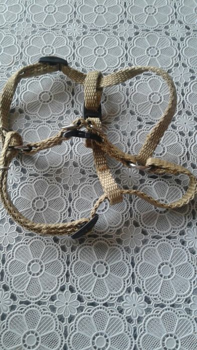 Szelki dla małego psa lub kota regulowane