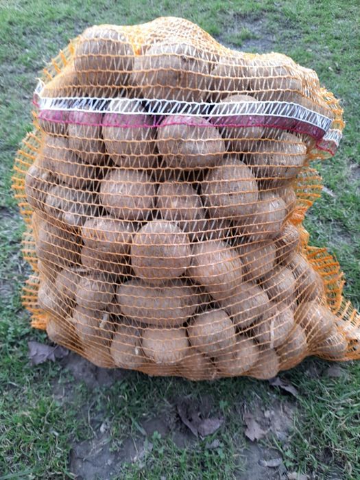 Sprzedam ziemniaki sadzeniaki