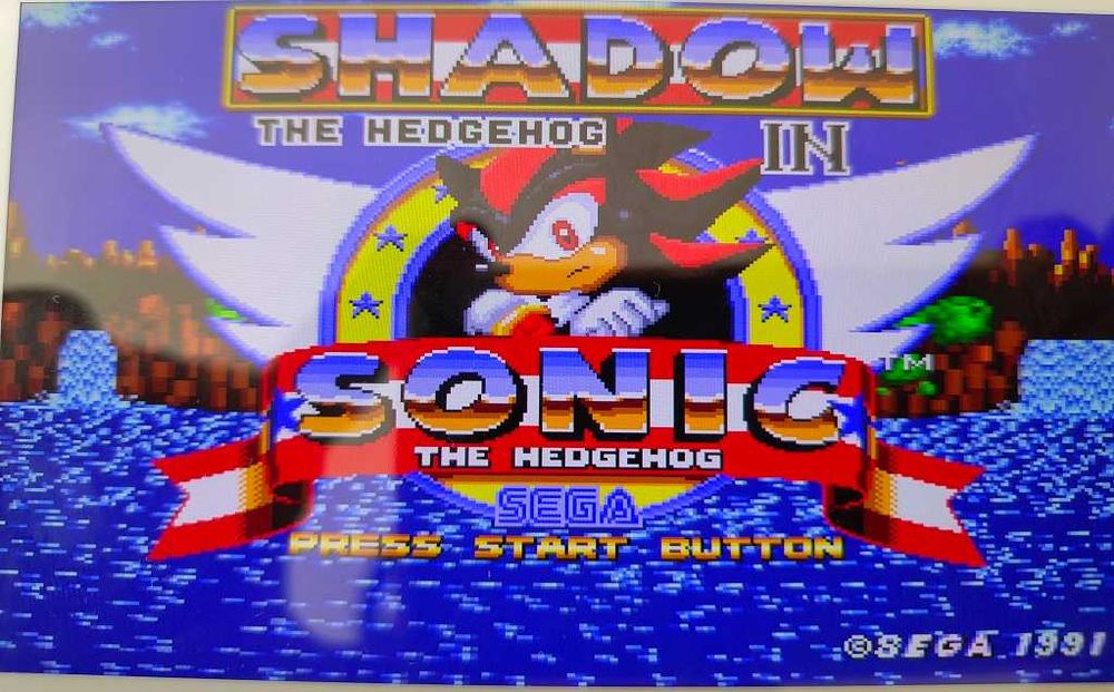 Shadow The Hedgehog
