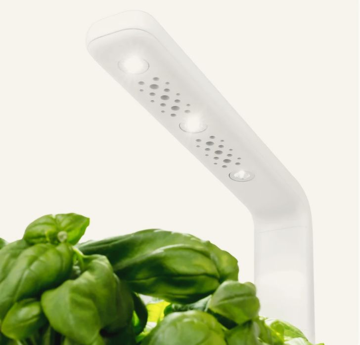 Click and Grow– The Smart Garden 3 (Novo, por abrir)