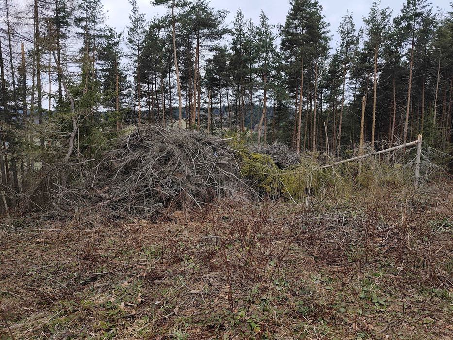 Opał,chrust,gałezie
