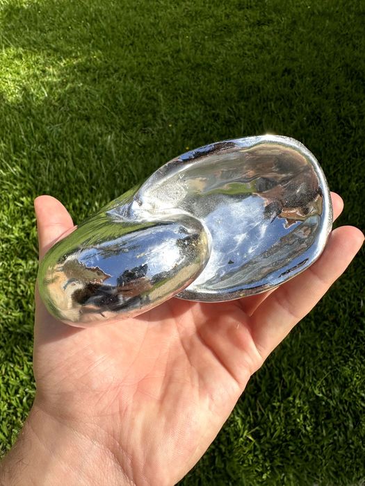 Concha prateada sem marca