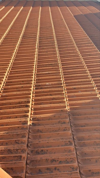 Telha Marselha / Francesa usada