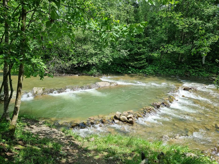 Продаж котедж 65.2 м.кв. 9 сот. вул. Шевченка 164 с. Гребенів