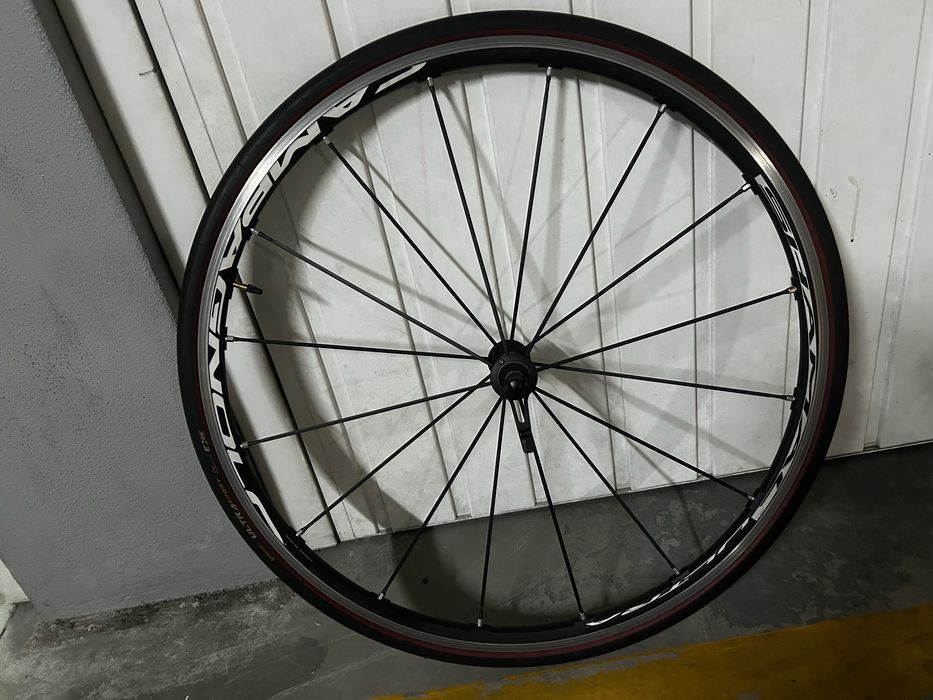 Rodas Campagnolo shamal ultra