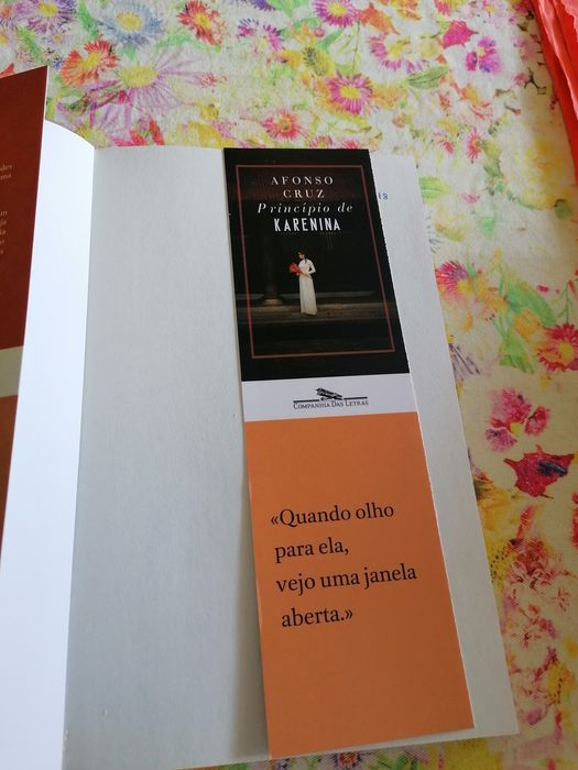 Livro de Afonso Cruz, princípio de Karenina