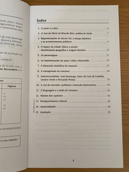 Livro “Resumos: O Ano da Morte de Ricardo Reis”