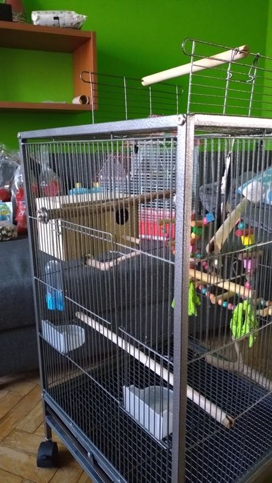 Woliera, klatka dla małych papug, ptaków