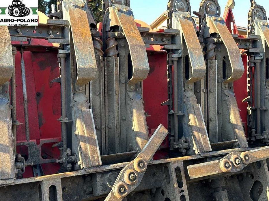 Кукурудзяна жатка - OLIMAC DRAGO 2 - S 8 TR - 8X70 - 2017 рік