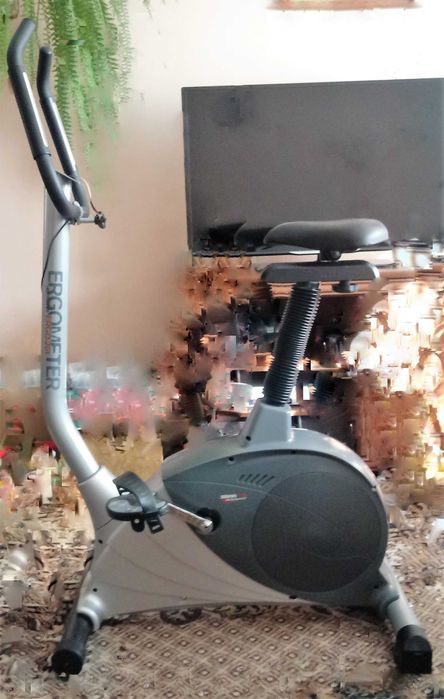 Rower stacjonarny Stamm