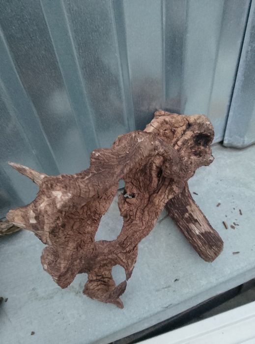 Коряги в аквариум