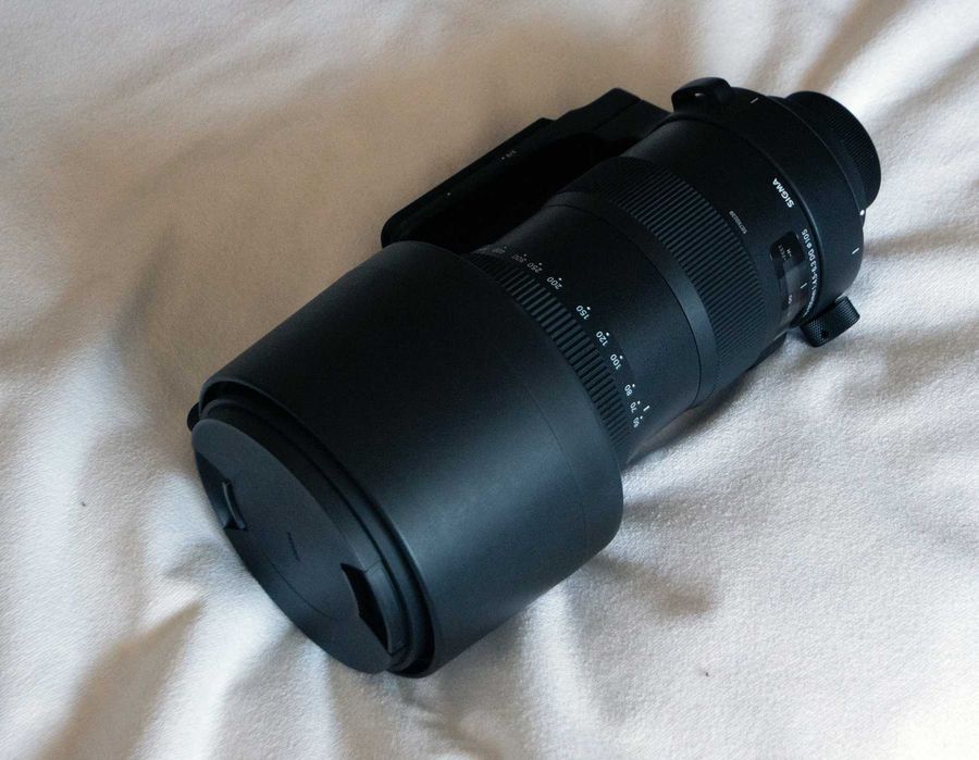 Sigma 60-600mm f/4.5-6.3 DG OS HSM Sports (Nikon F) + Nikon D7000