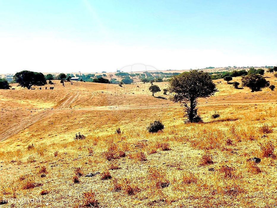 Terreno  para venda