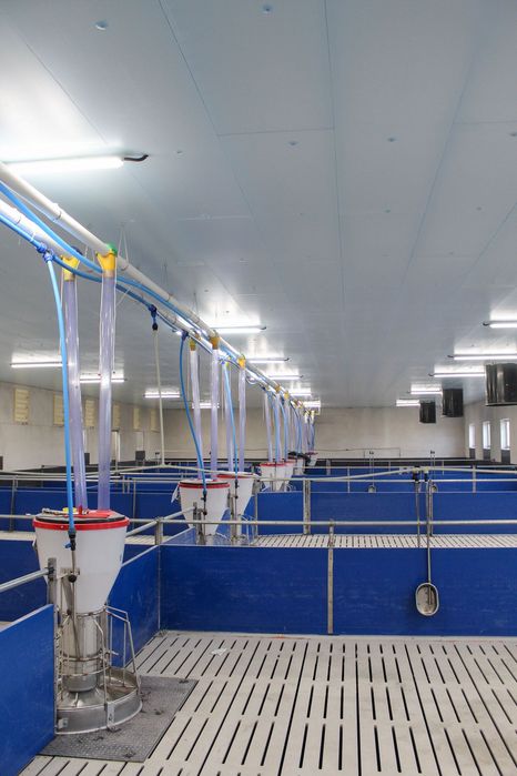 Podsufitka do Budynków Inwentarskich i Magazynowych Styrodur XPS AGRO