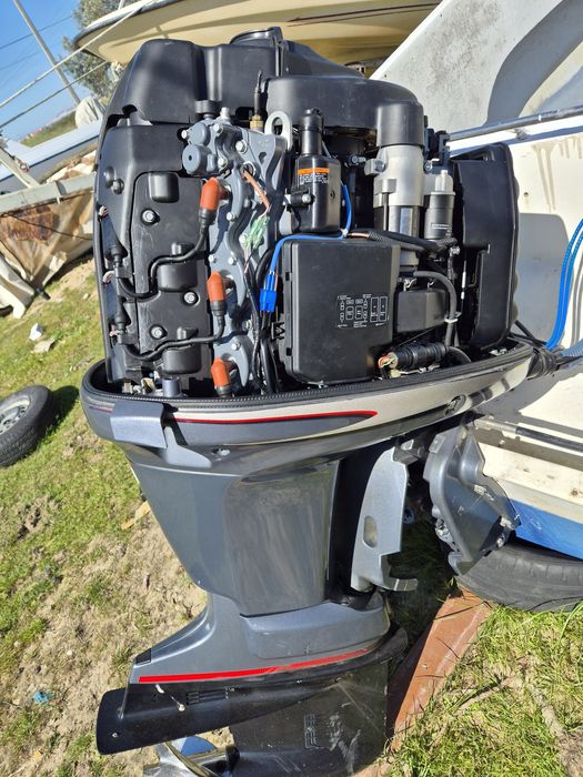 Riamar com yamaha 175 hp