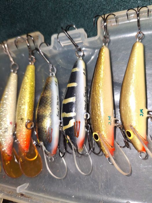 Woblery Pstrąg,Troć