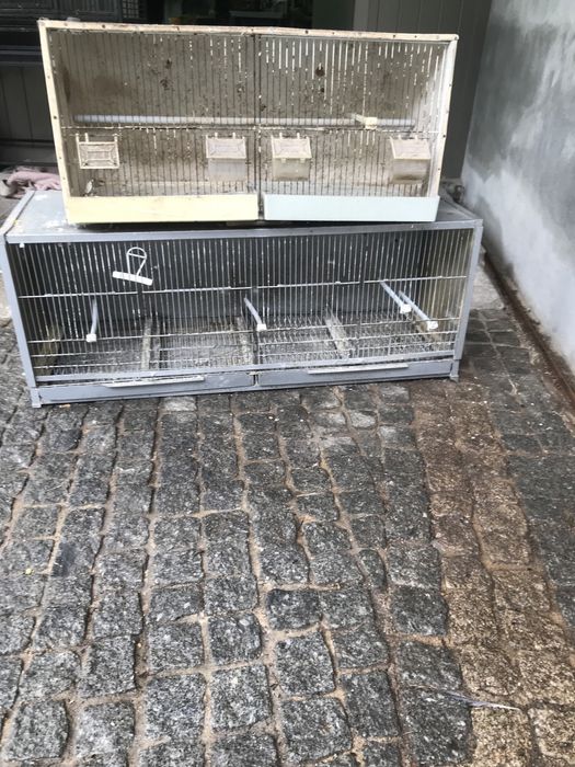 Cedo gaiolas em bom estado