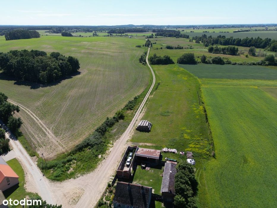 Działki Budowlane W Cewlinie Koło Koszalina – Miejsce Na Dom Marzeń!