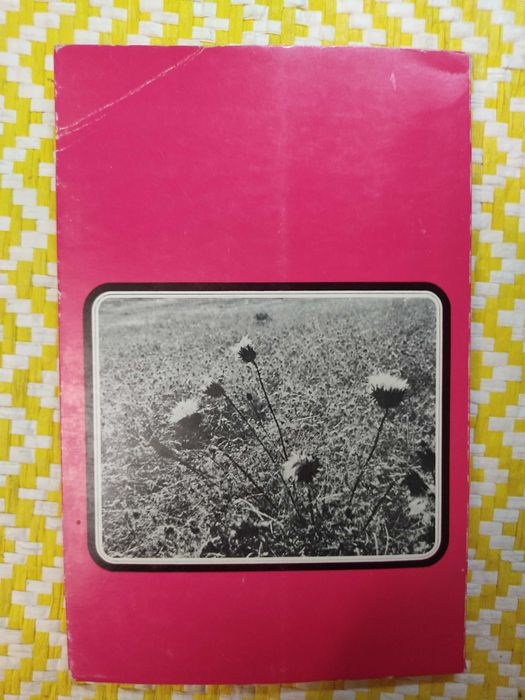 EXILADO
Autor: Antunes Silva