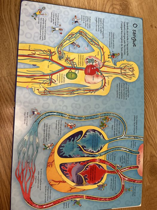 Livro do corpo humano