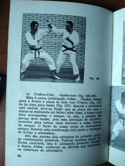 Livro Karate 2 - Albrecht Pfluger