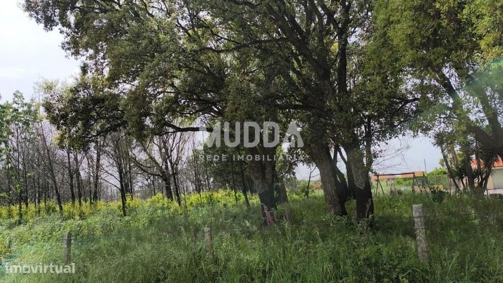 Terreno | Albergaria-a-Velha