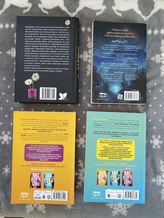 Zestaw książek dla młodzieży