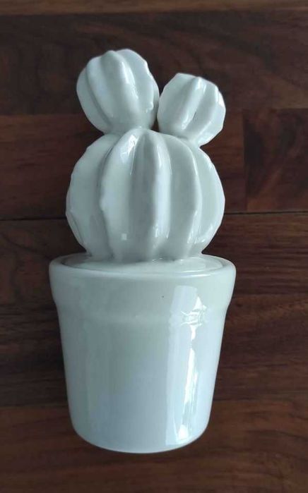 Cacto decorativo loja Gato Preto