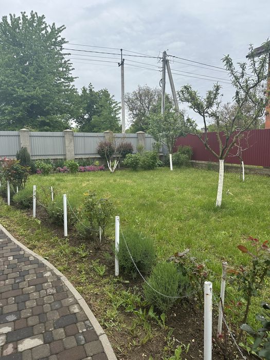 Дом по адресу Петефі Шандора пл. (площадь 205 м²) - Atlanta.ua - фото 13