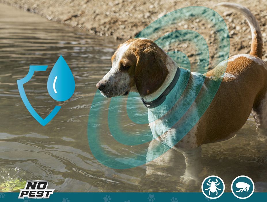 Obroża dla małych psów (35 cm) na pchły, kleszcze i pasożyty No Pest®