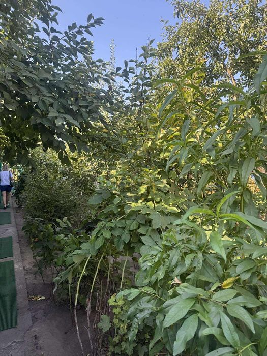 Продам частину будинку на Заріччі