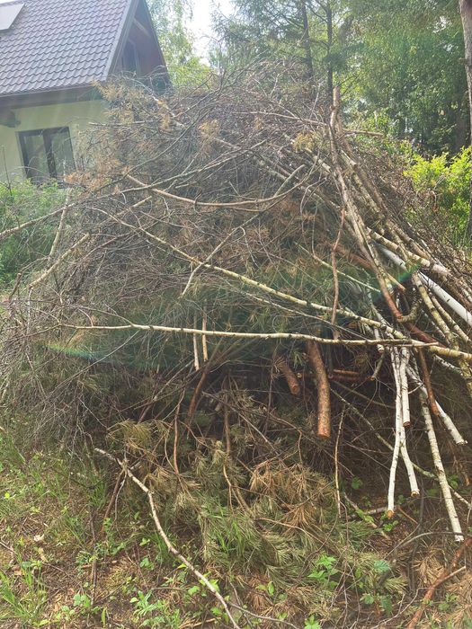 Oddam gałęzie / chrust za darmo - Marksewo