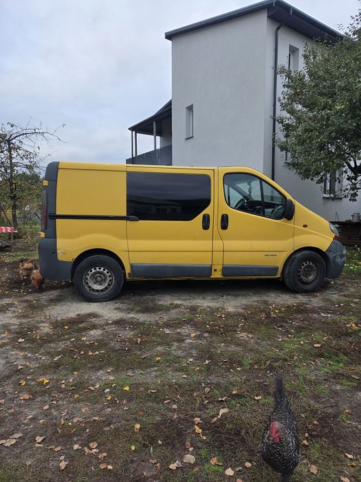 Renault trafic bus
