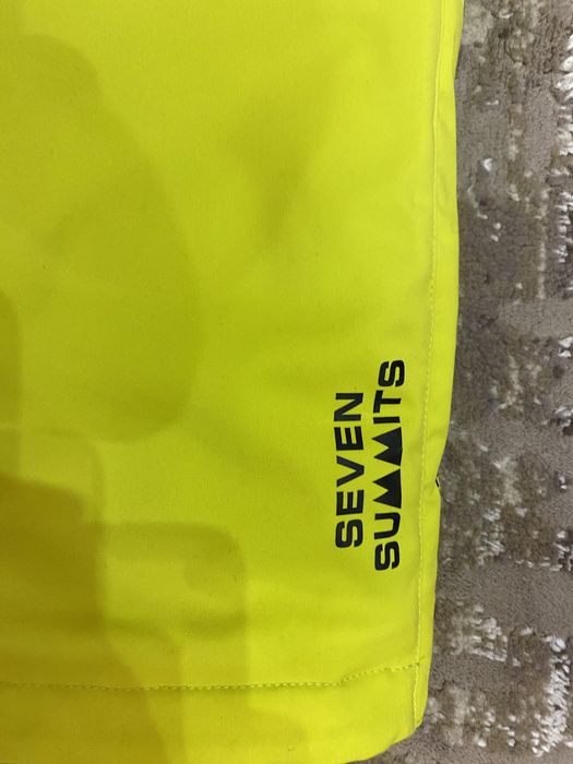 Лижні штани salomon Seven Summits серії extreme на утеплені Thinsulate