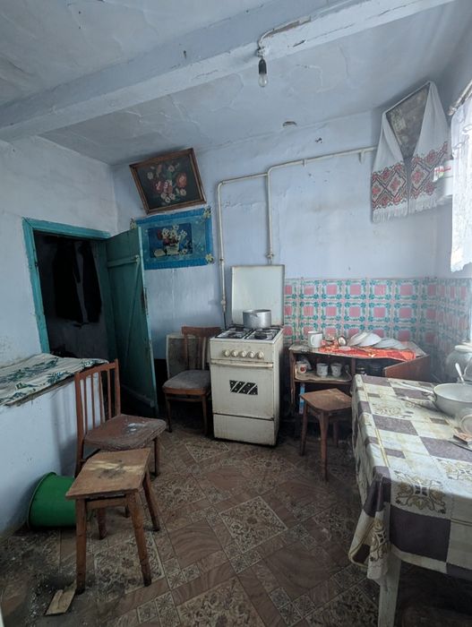 Продам будинок с. Копиткове