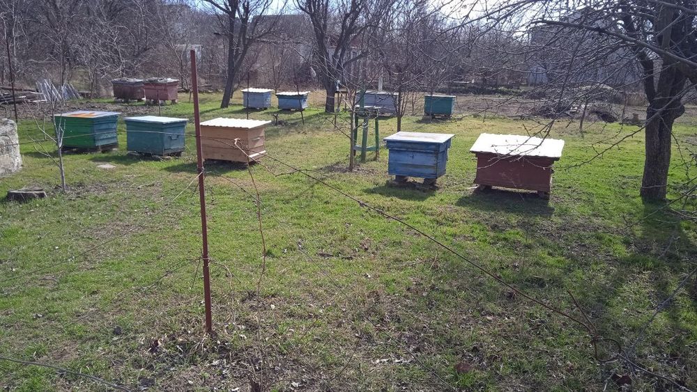 Дача, 8х8м, 2 поверха + гараж + підвал, 18 соток