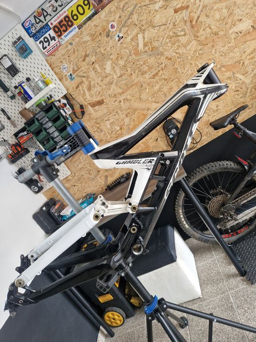 Quadro scott gambler