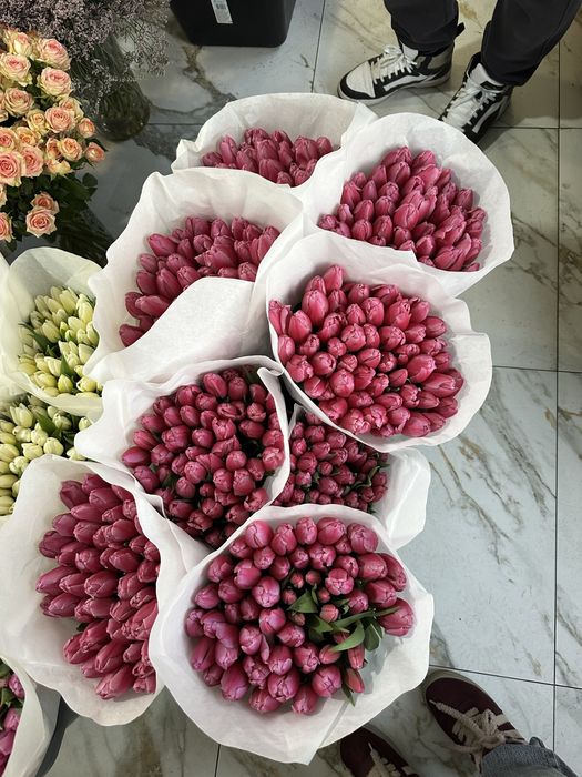 Тюльпани оптом з теплиці