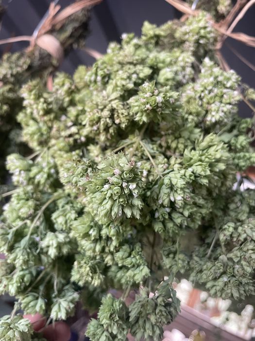 Orégãos Selvagens (folha, sem rama)