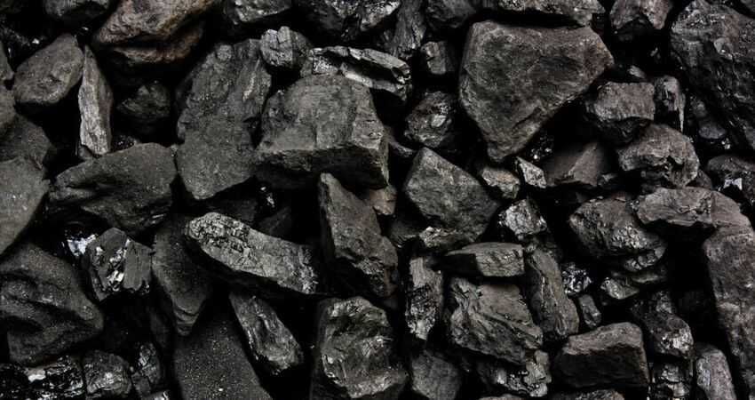 Продам дрова ,твердих та м'яких сортів.