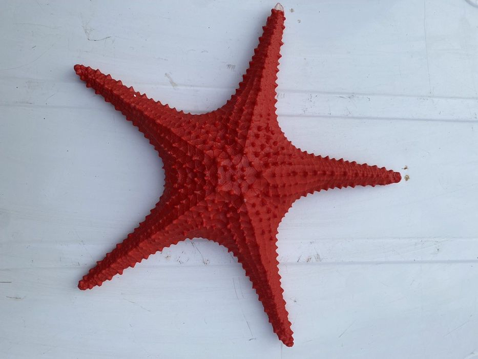Декор морська зірка